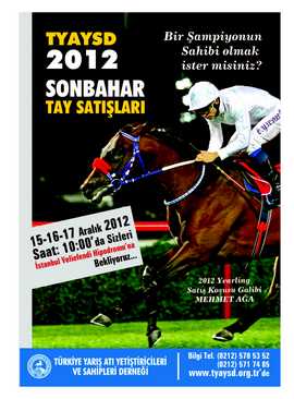 20 İngiliz Tayı 1.132,00 TL'ye Satıldı