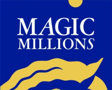 2013 Magic Millions Yarışları