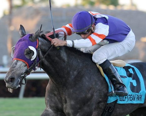 Ft.Lauderdale ve San Fernando Stakes