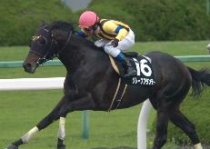 Tokai Stakes & American Jockey Club Cup