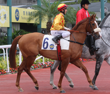 Hong Kong Classic Mile'i Gold-Fun Kazandı