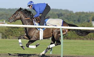 G2 Cape Verdi'yi Godolphin Atı Sajjhaa Kazandı