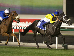 31.01.2013 Meydan Yarışları