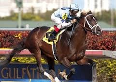 Verrazano'nun Bir Hissesi Coolmore'un