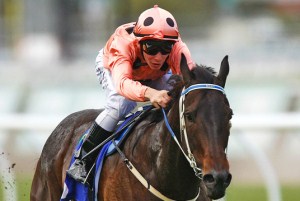 Black Caviar Yine Kazandı