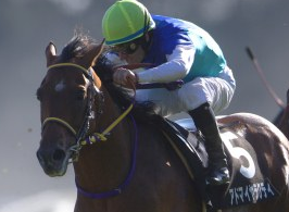 G3 Diamonds Stakes'i Admire Rakti  Kazandı