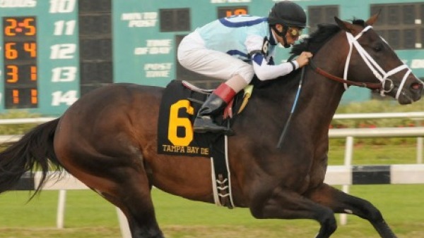 Kentucky Derby'e Adım Adım