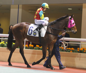 Hong Kong Derby Koşuldu