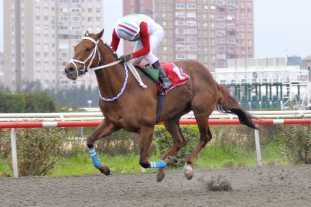 Sadık Eliyeşil Koşusunu El Conquerador Kazandı