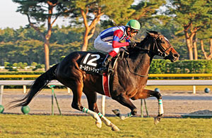 G3 Fukushima Stakes'i All That Jazz Kazandı