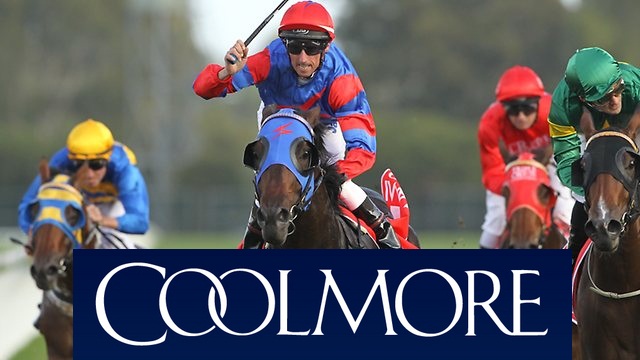 Coolmore 2013 Yılı Aşım Ücretlerini Açıkladı