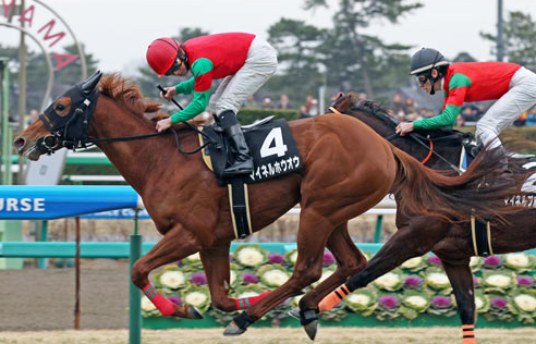 Japonya Mile Cup'u Meiner Ho O Kazandı