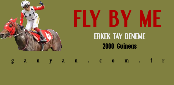 Erkek Tay Deneme Prensi Fly By Me 