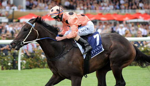 Black Caviar'dan İlk Ziyaret Exceed And Excel'e