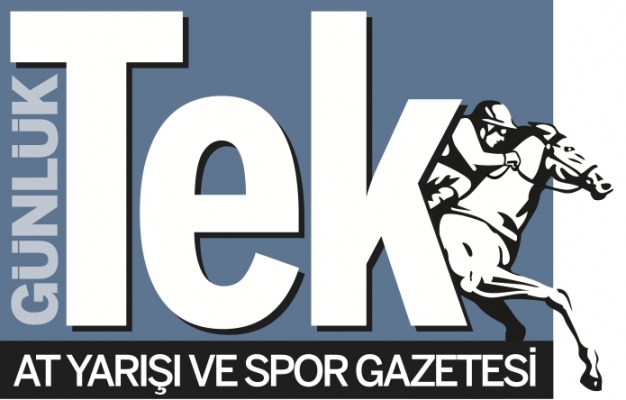 Tek Gazetesi 